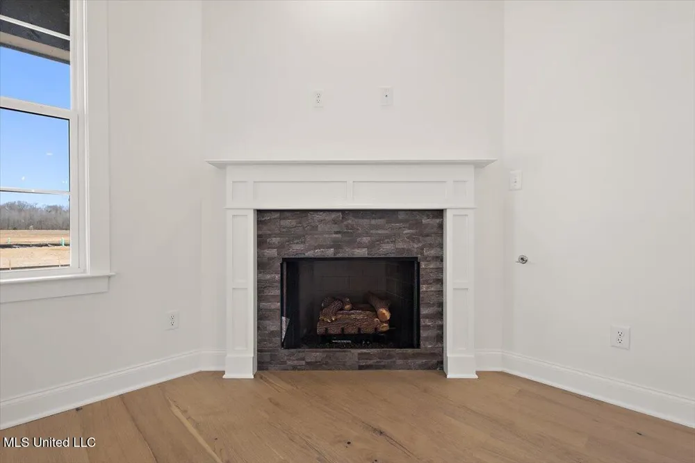 481 Sunflower Street Nesbit, MS 38651