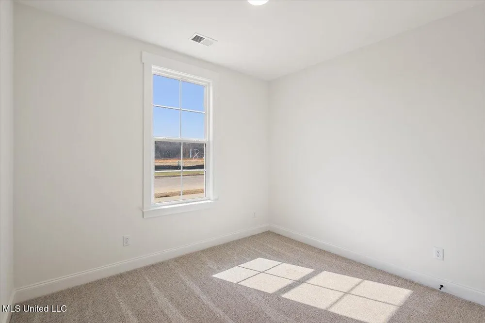 481 Sunflower Street Nesbit, MS 38651