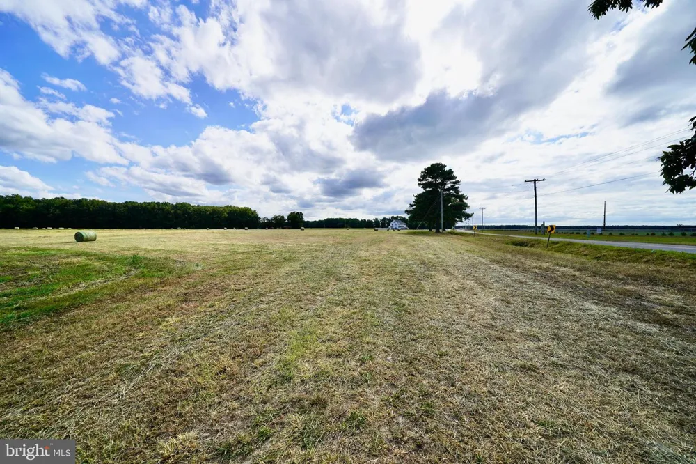 HOPKINS CEMETERY RD Harrington, DE 19952