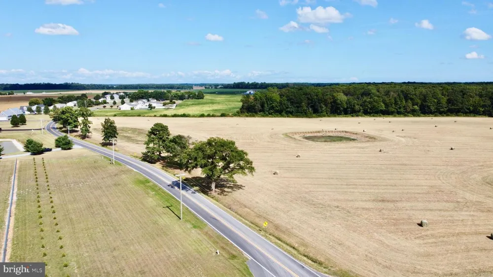 HOPKINS CEMETERY RD Harrington, DE 19952