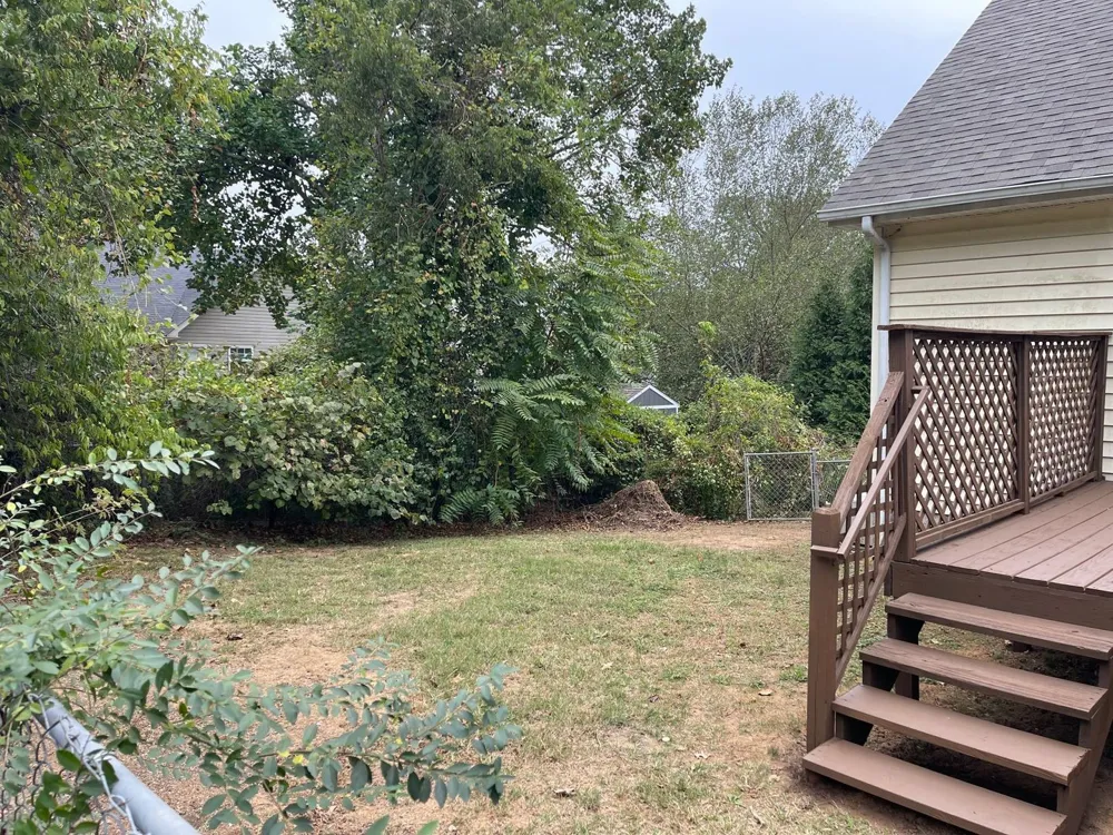 1812 Barnwell Ct Hermitage, TN 37076