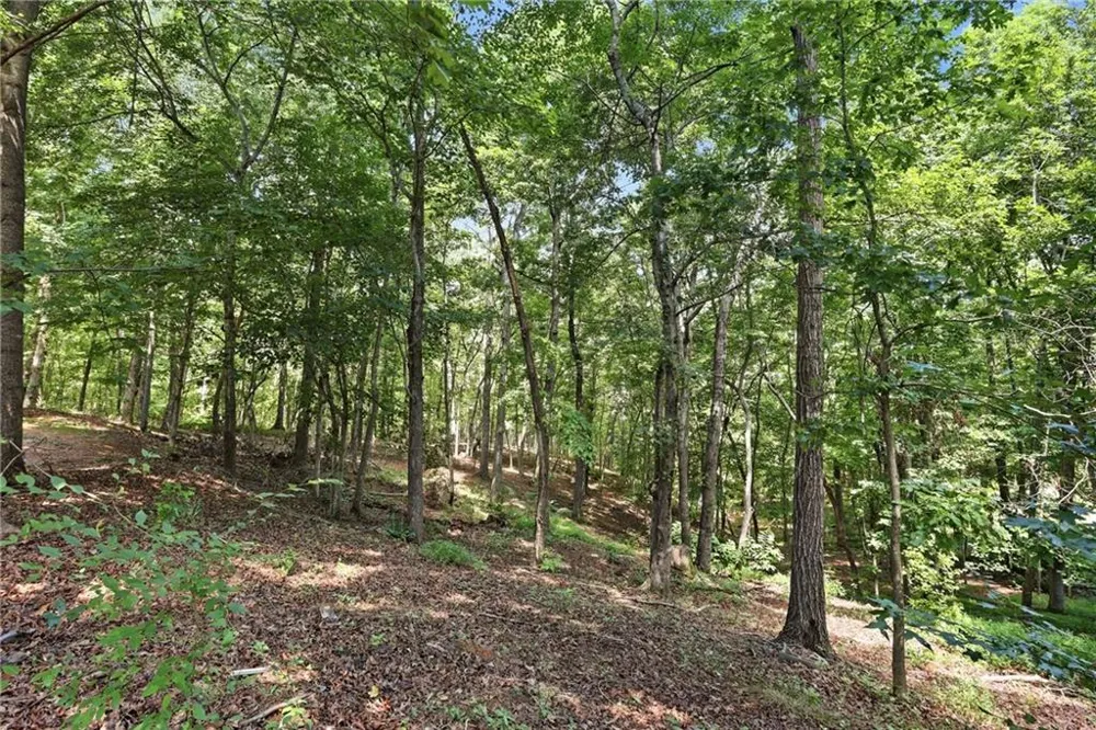 287 Laurel Place Drive Cornelia, GA 30531