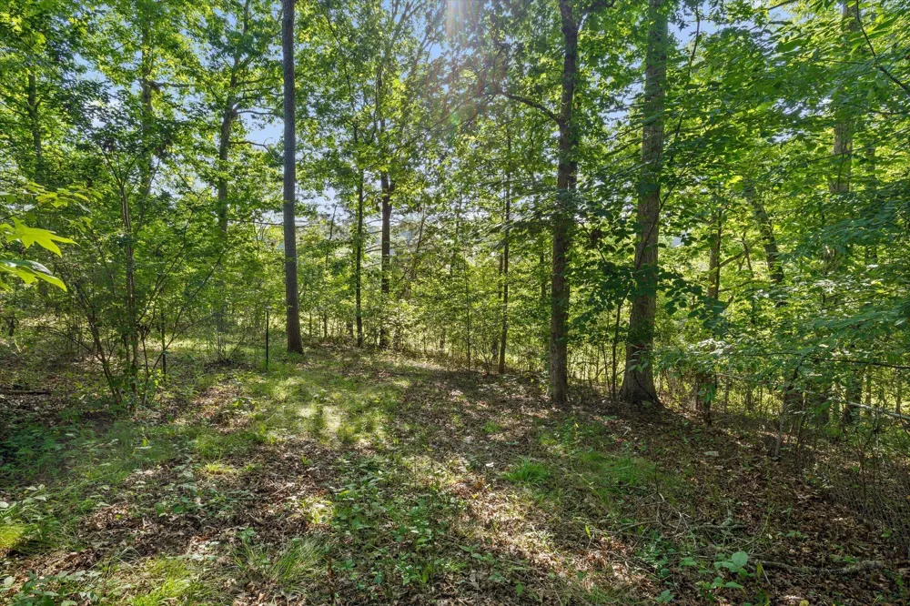 170 Shady Court LaFayette, GA 30728