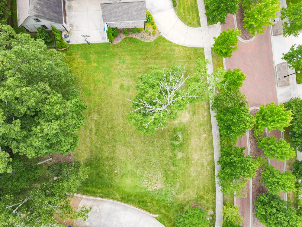 2324 Dogwood Grove Circle Signal Mountain, TN 37377
