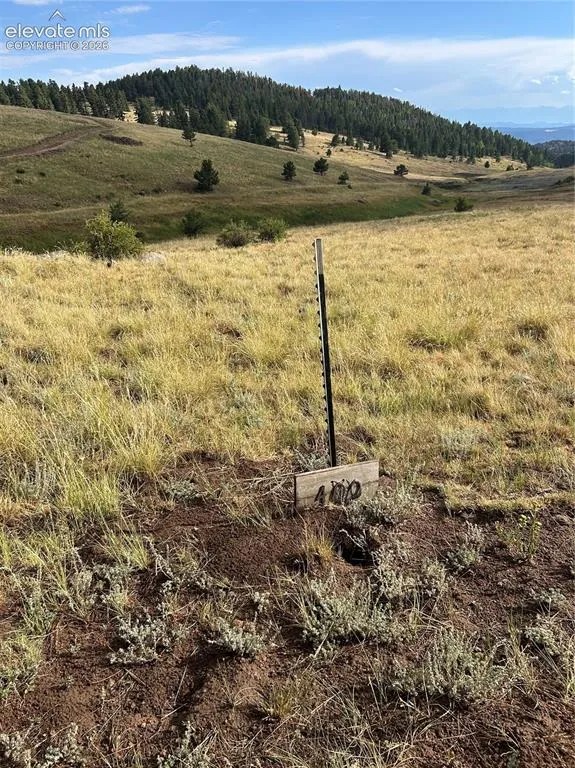 1100 Grumpy Burrow View Cripple Creek, CO 80863