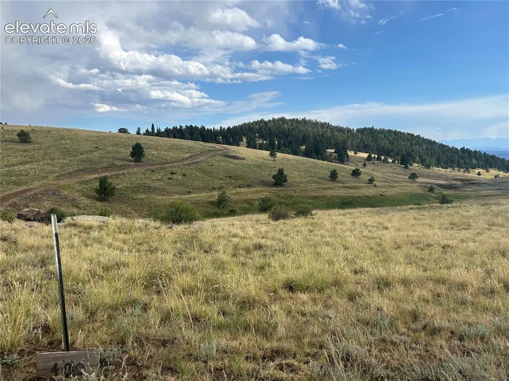 1100 Grumpy Burrow View Cripple Creek, CO 80863