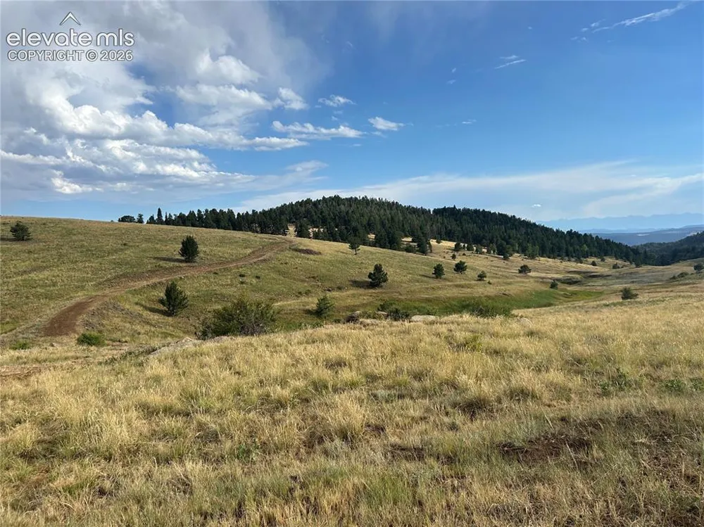 1100 Grumpy Burrow View Cripple Creek, CO 80863