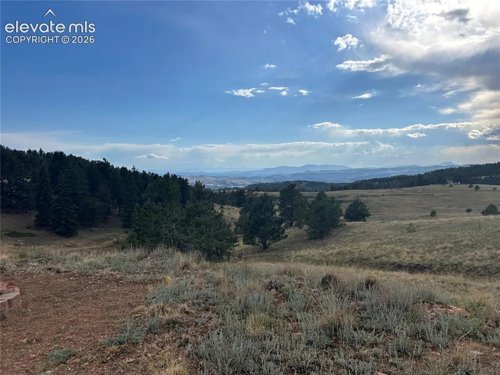 1100 Grumpy Burrow View Cripple Creek, CO 80863