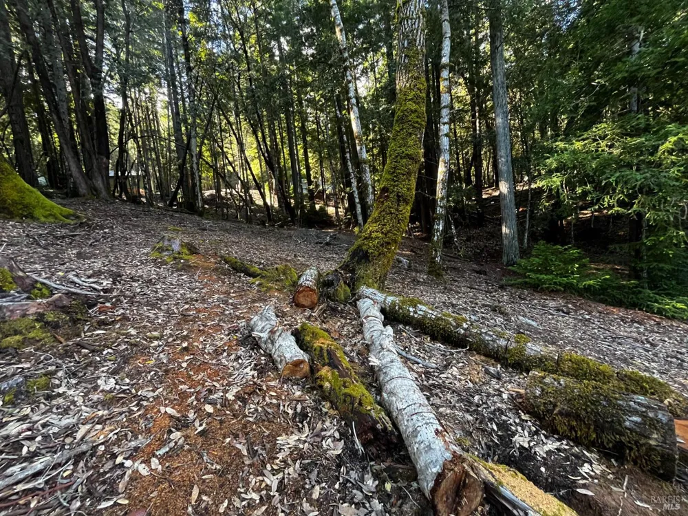 2234 Otter Place Willits, CA 95490