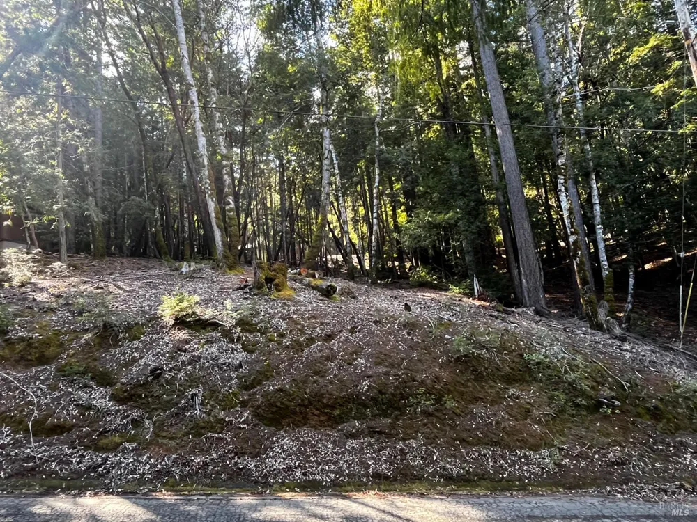2234 Otter Place Willits, CA 95490
