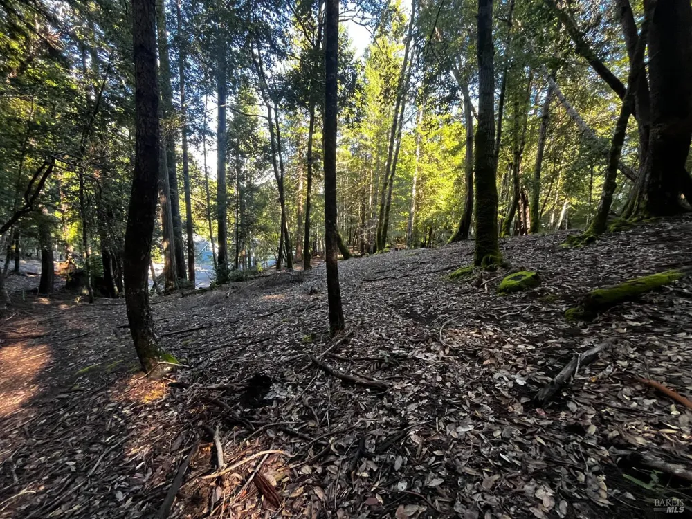 2234 Otter Place Willits, CA 95490