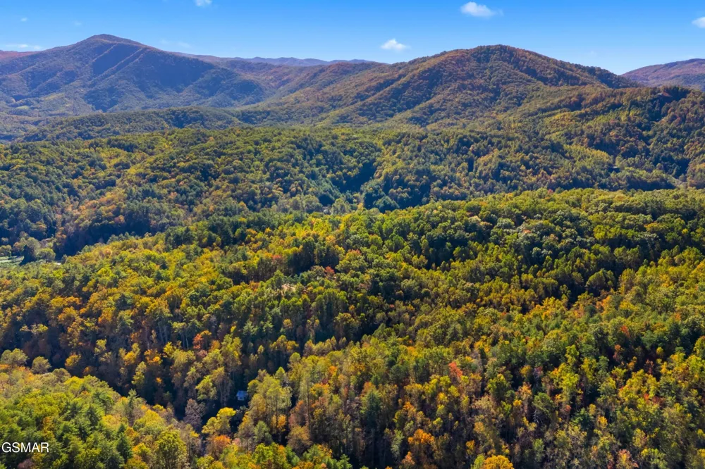 537 Reece Hollow Del Rio, TN 37727