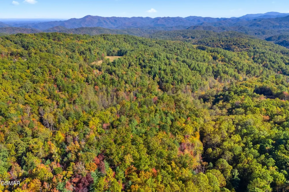 537 Reece Hollow Del Rio, TN 37727