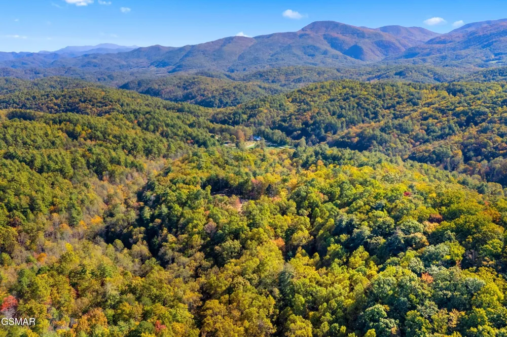 537 Reece Hollow Del Rio, TN 37727