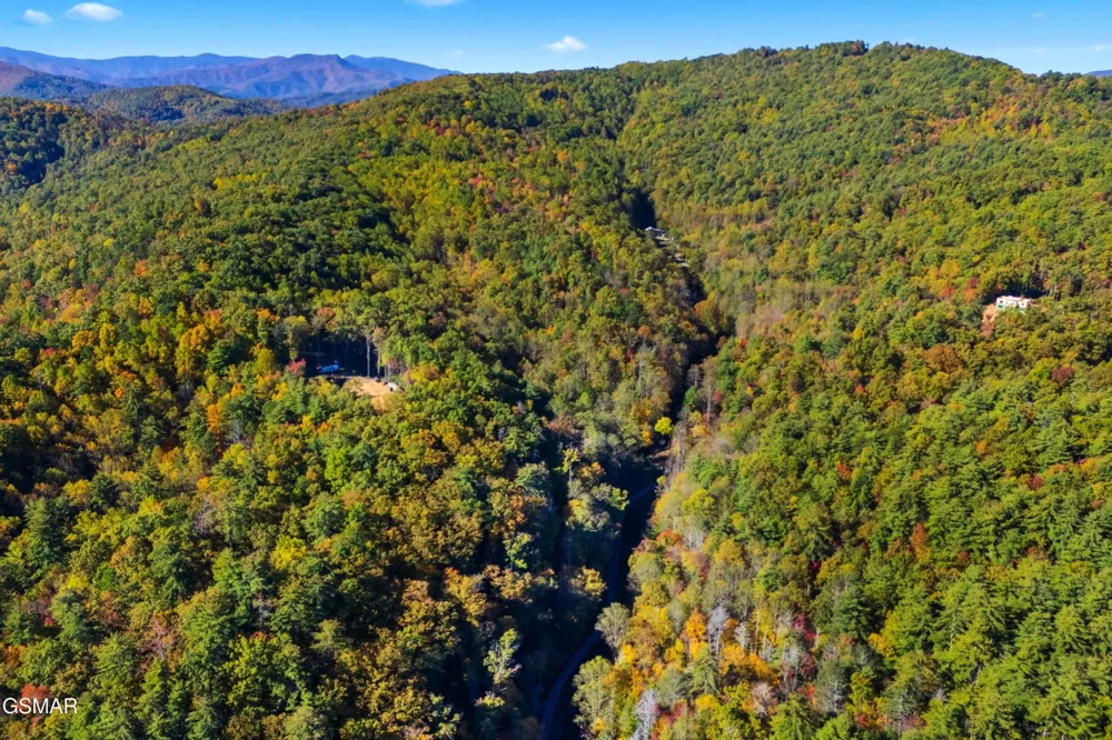 537 Reece Hollow Del Rio, TN 37727