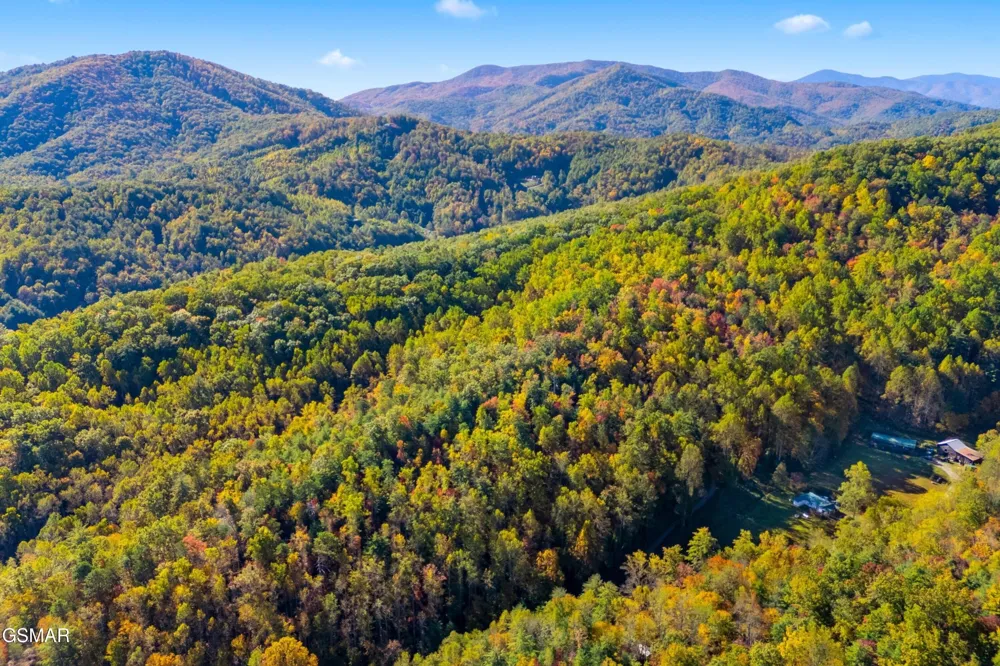 537 Reece Hollow Del Rio, TN 37727