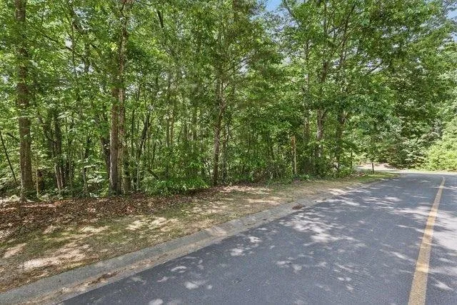 0 Plum Lane Clarkesville, GA 30523