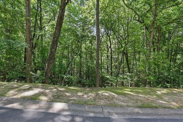 0 Plum Lane Clarkesville, GA 30523