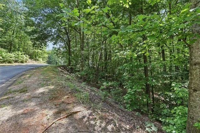 0 Plum Lane Clarkesville, GA 30523