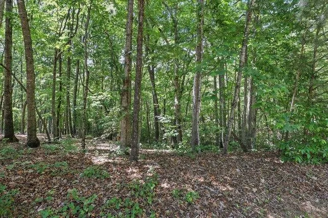 0 Plum Lane Clarkesville, GA 30523