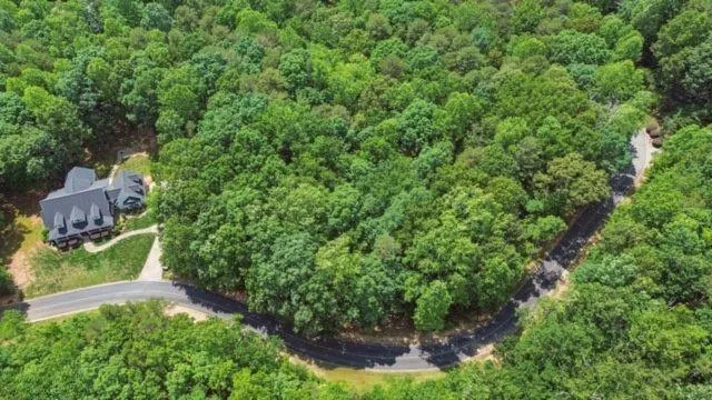 0 Plum Lane Clarkesville, GA 30523