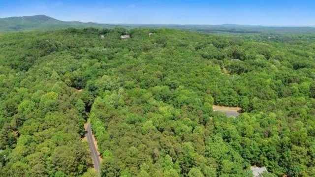 0 Plum Lane Clarkesville, GA 30523