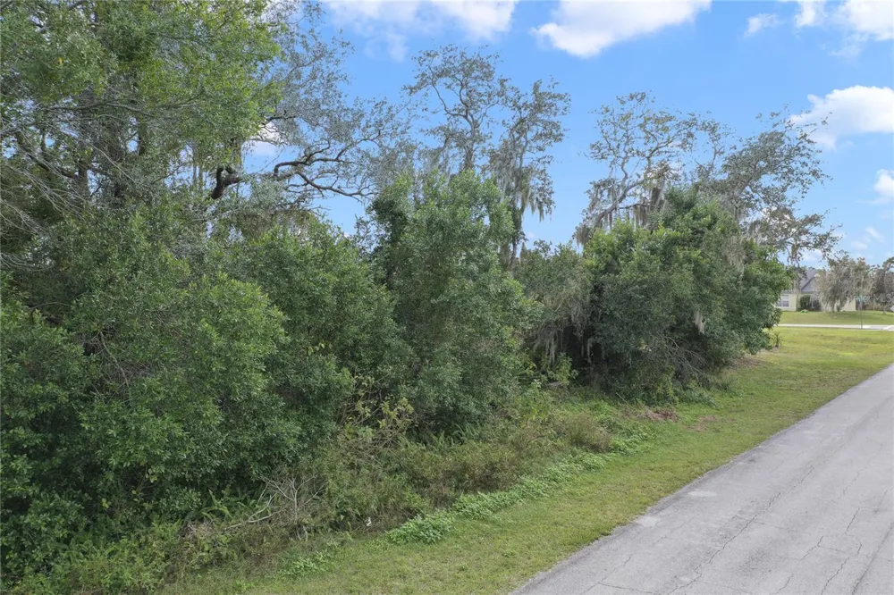 2145 MONTECITO AVENUE Deltona, FL 32738