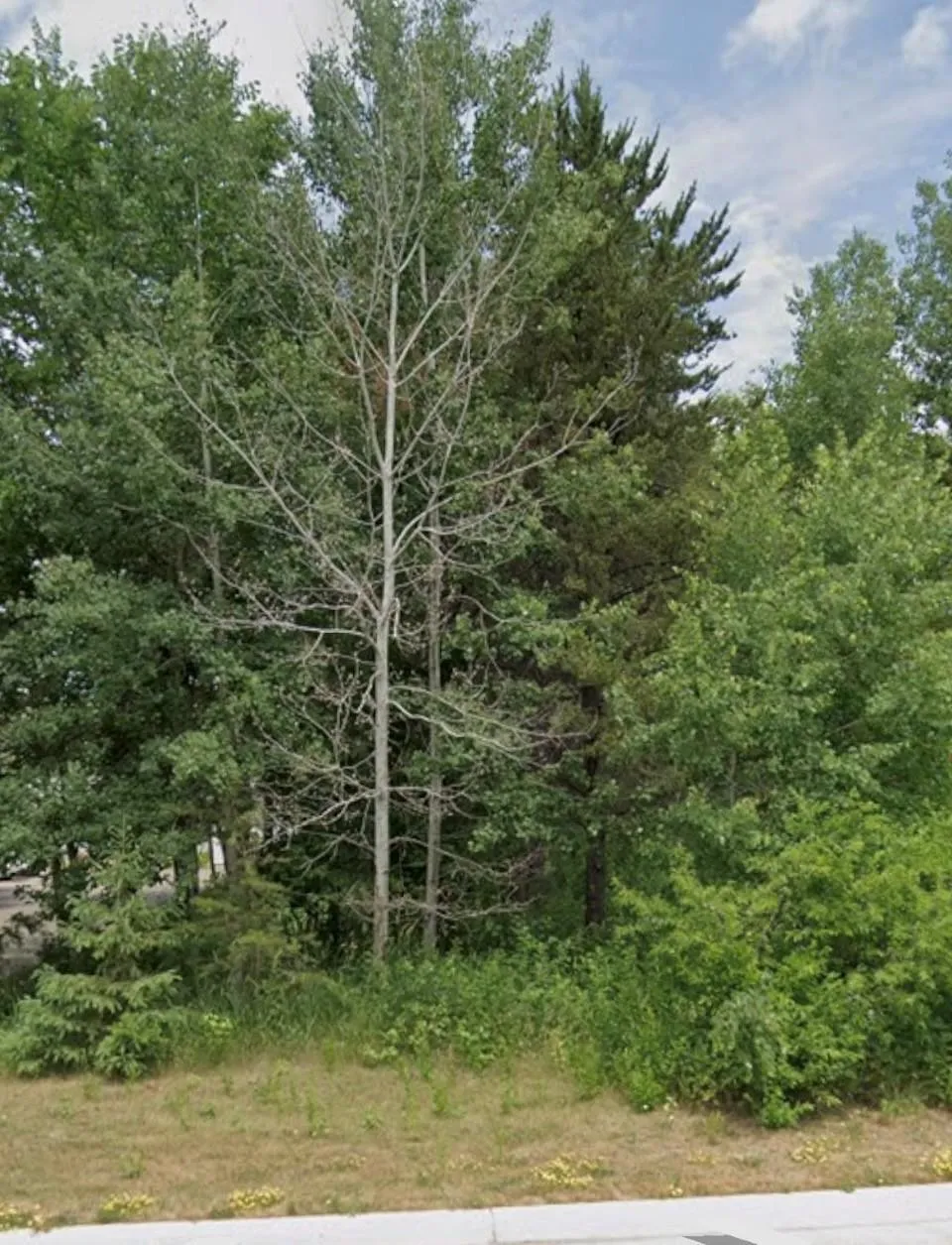 Lot 15 Pine Street Brainerd, MN 56401