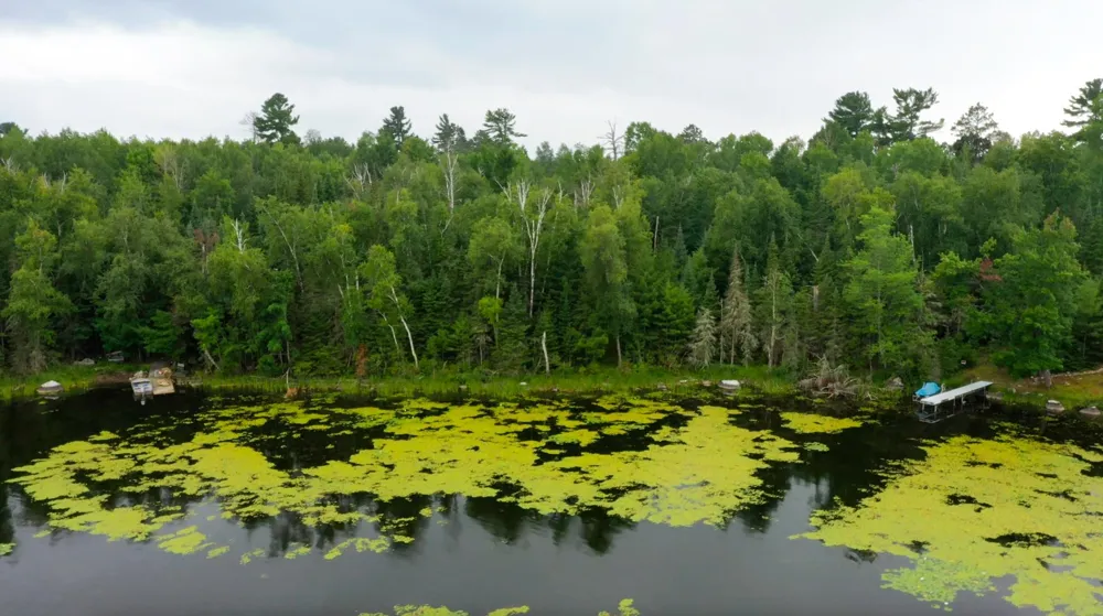 TBD Muskego Bay Cook, MN 55723