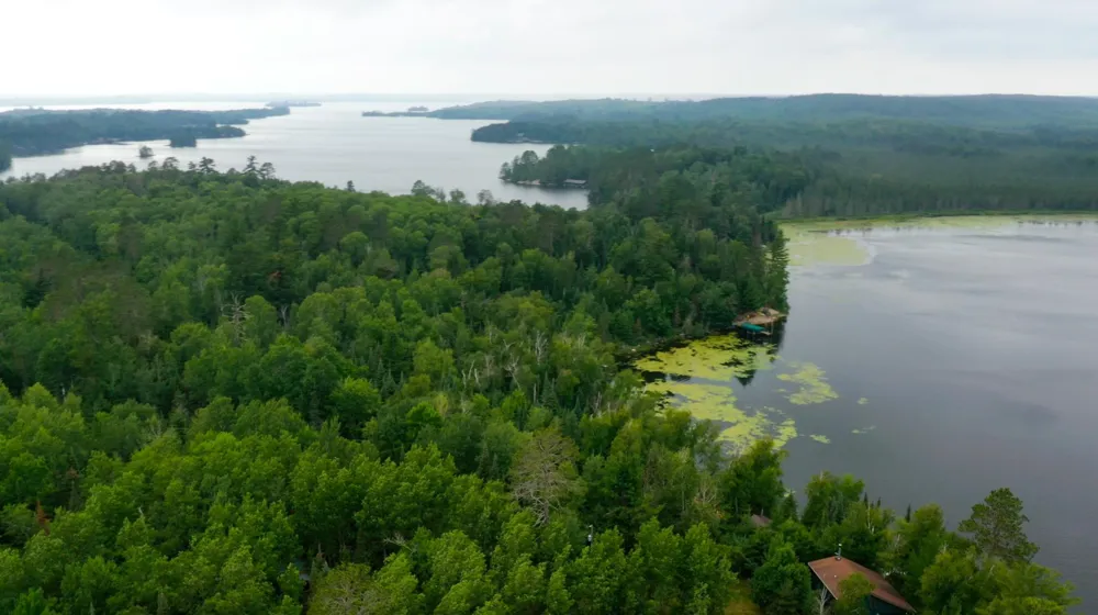 TBD Muskego Bay Cook, MN 55723