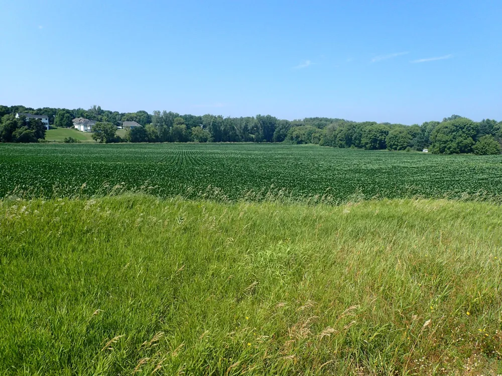 XXX22 60th Street SW Cokato, MN 55321