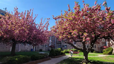 65-30 Grand Central Parkway #1