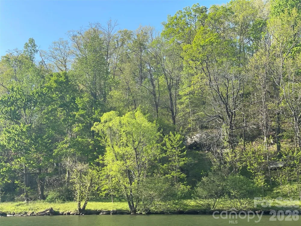 149 Sheridan Lane Lake Lure, NC 28746