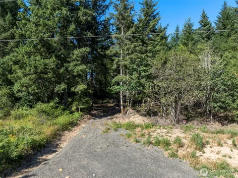 541 Centralia Alpha Road