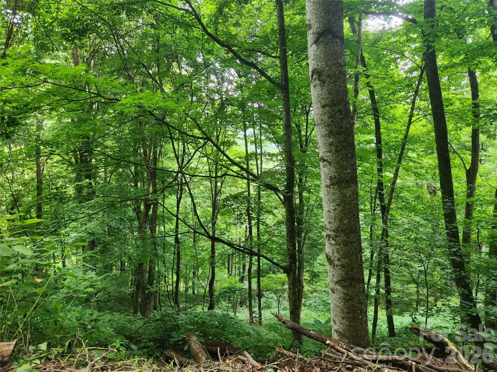 0000 Jacks Knob Road Weaverville, NC 28787