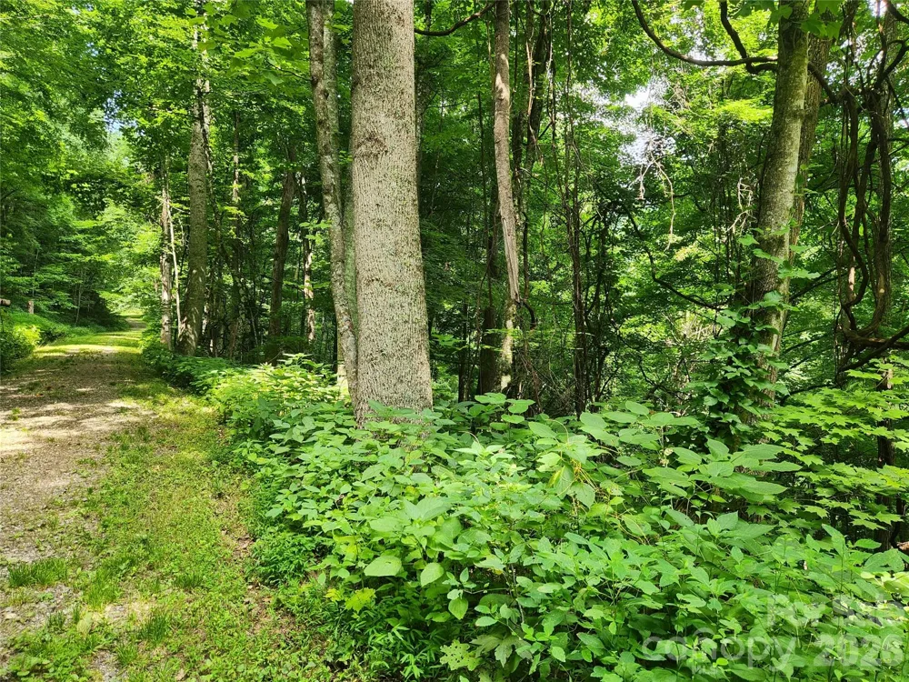 0000 Jacks Knob Road Weaverville, NC 28787