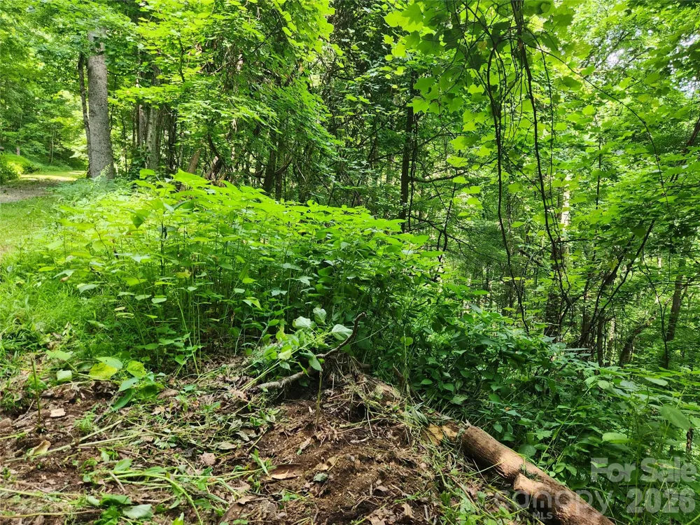 0000 Jacks Knob Road Weaverville, NC 28787