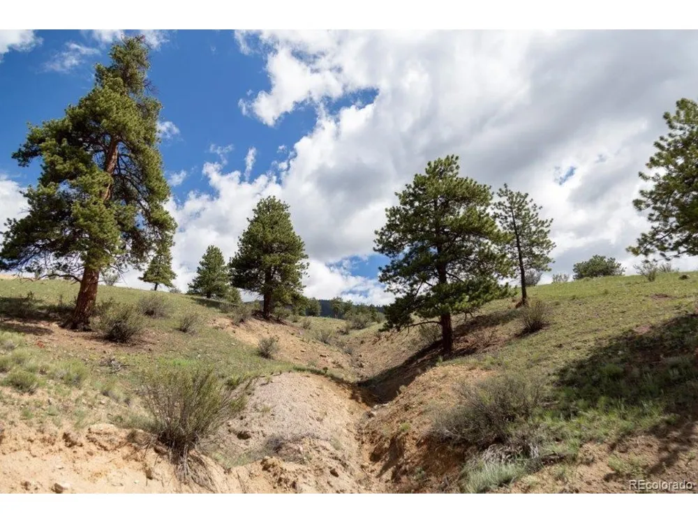 Address Not Shown Creede, CO 81130