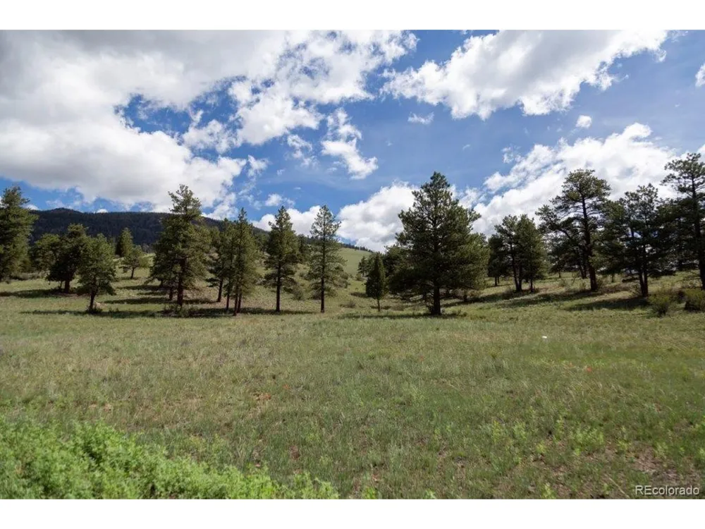 Address Not Shown Creede, CO 81130