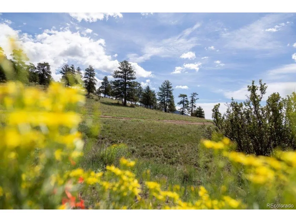 Address Not Shown Creede, CO 81130