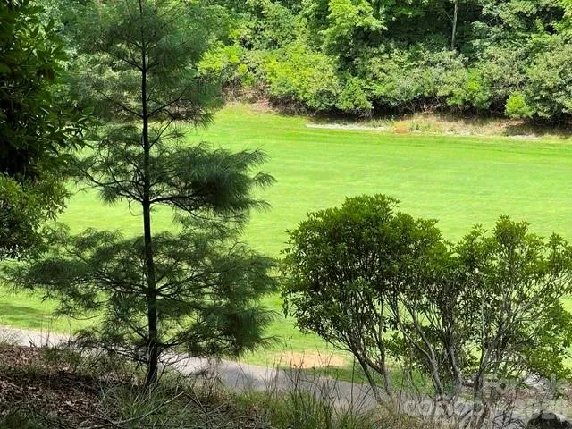 222 Sedi Lane Brevard, NC 28712