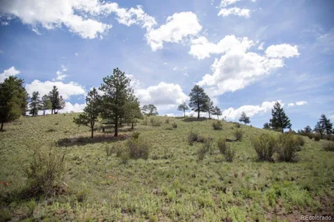 780 Cliff View Drive