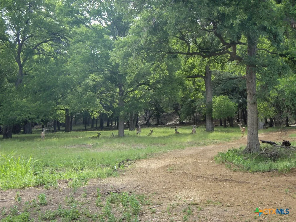 1613 Bella Vista Canyon Lake, TX 78133