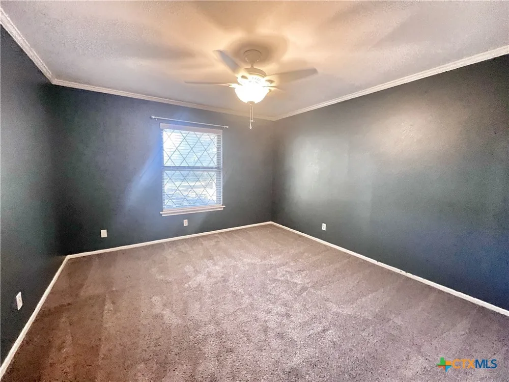 1438 Plumeria Street San Antonio, TX 78232