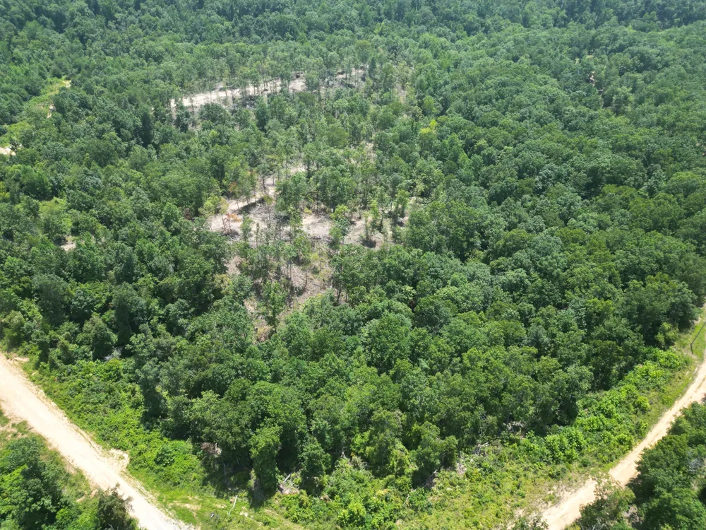 0 Petty Drive Linden, TN 37096