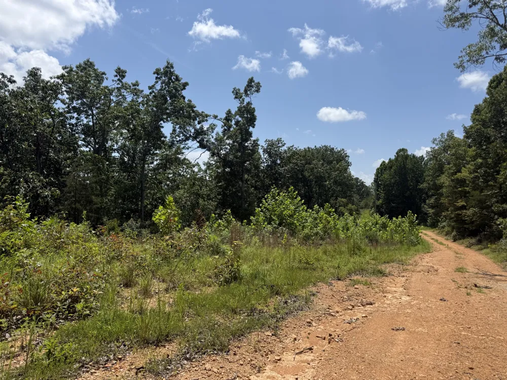 0 Petty Drive Linden, TN 37096