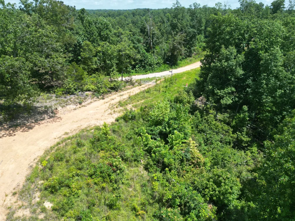 0 Petty Drive Linden, TN 37096