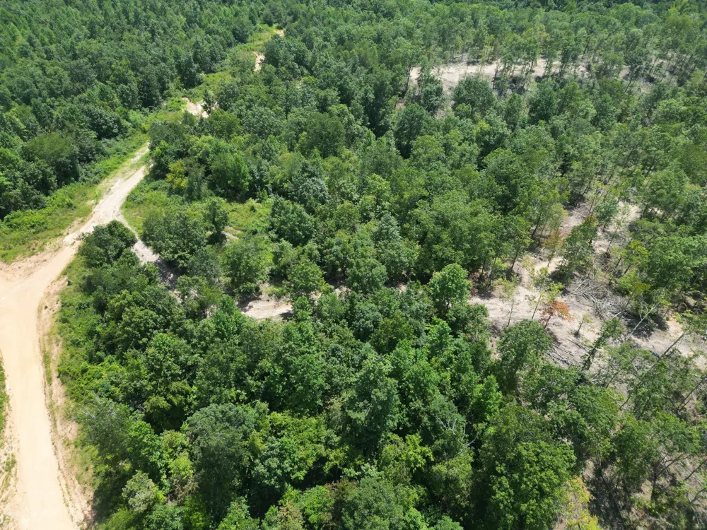 0 Petty Drive Linden, TN 37096