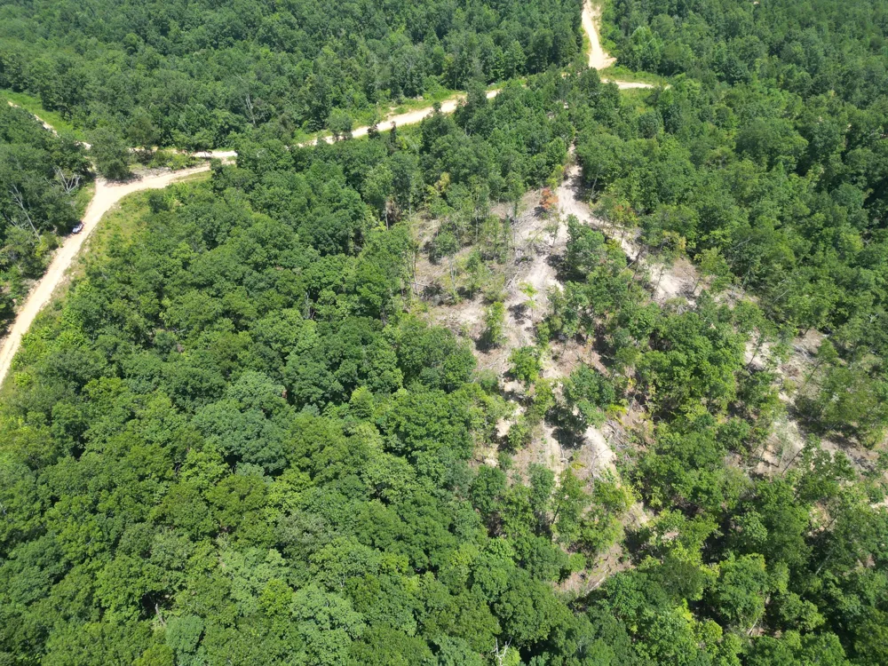 0 Petty Drive Linden, TN 37096