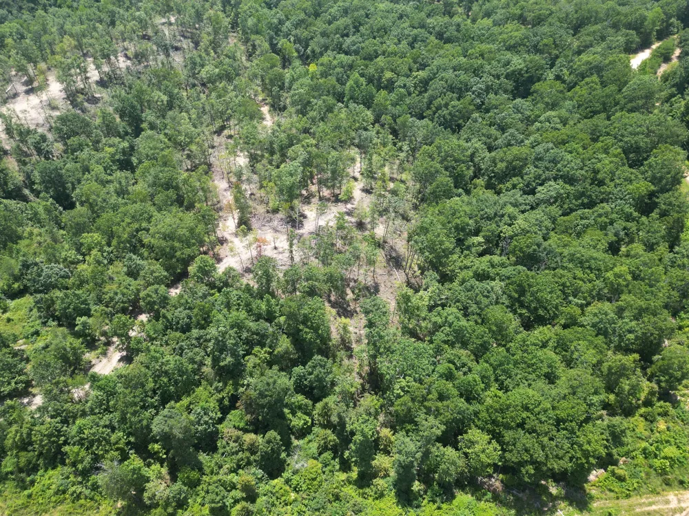 0 Petty Drive Linden, TN 37096
